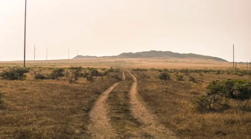 Featured image for Enjoy the Country Air